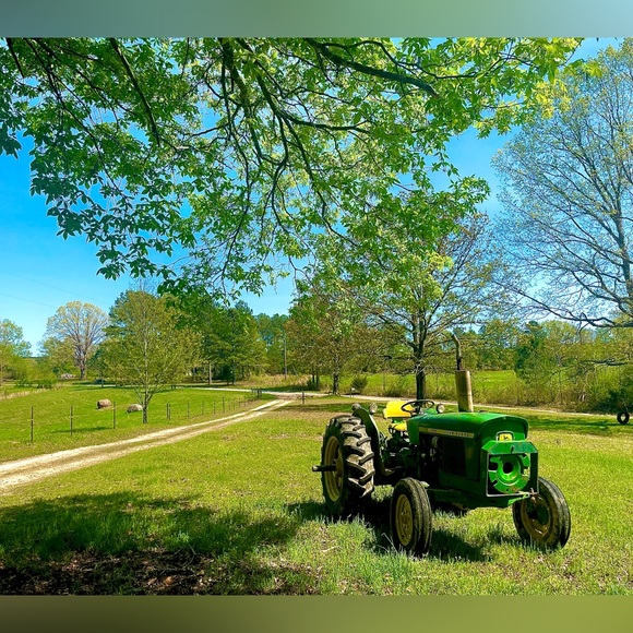 🌟Posh Ambassador🌟Jen - Picture 2 of 6